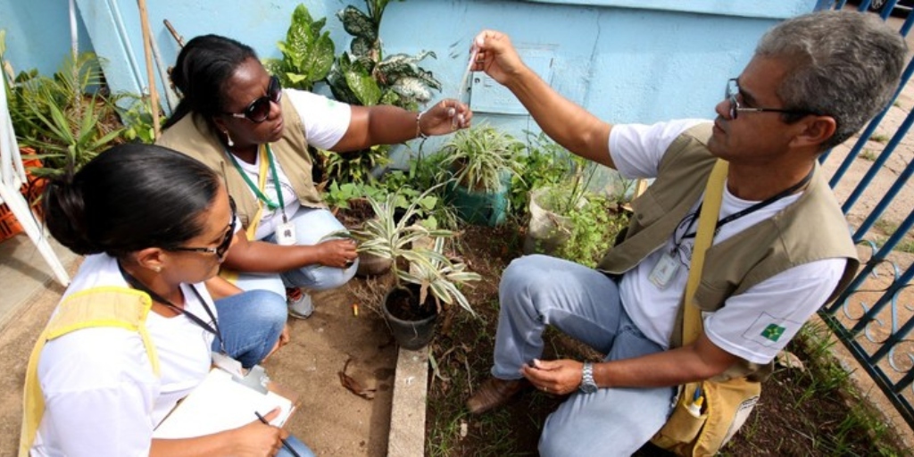 Cidades da Região Serrana aderem ao Dia D nacional de combate à dengue, chikungunya e zika vírus