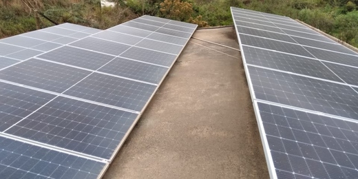 Produtores de flores de Nova Friburgo adotam energia solar e reduzem conta de luz em até 90%