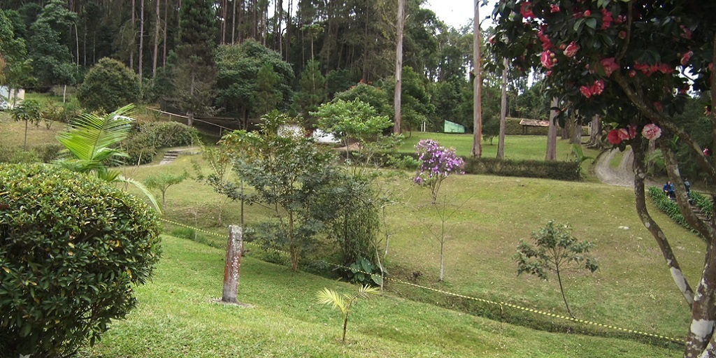 Parque Natural Municipal Montanhas de Teresópolis volta a funcionar