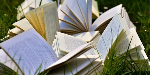 Primeira edição da Feira Literária de Teresópolis começa nesta quinta-feira