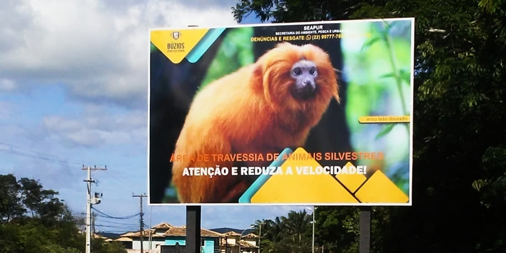 Placas educativas sobre a existência de fauna silvestre são instaladas em Búzios