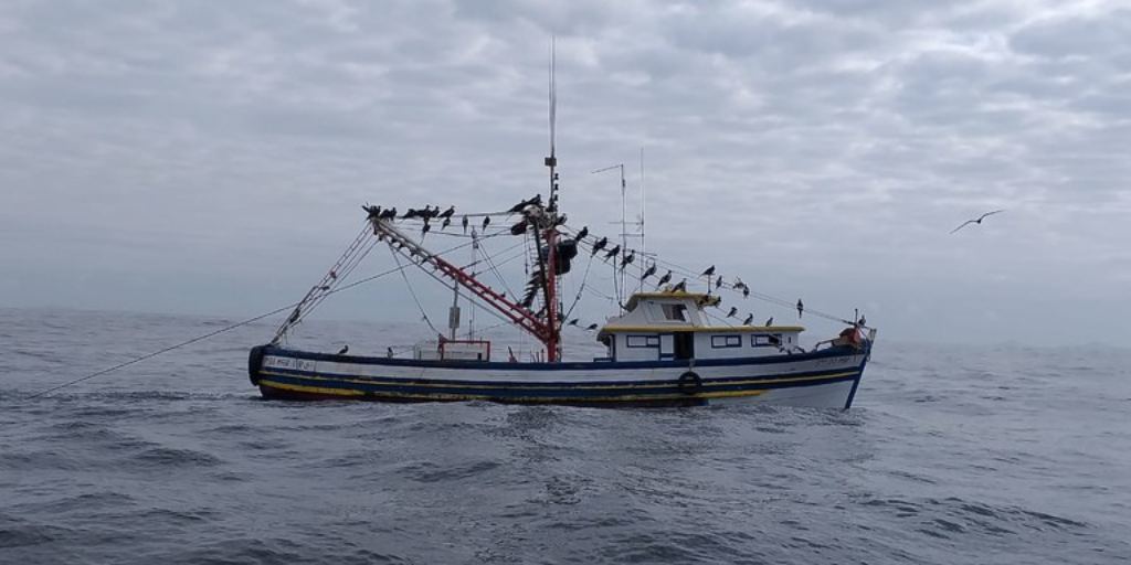 Arraial do Cabo é alvo da PF em operação de fiscalização ambiental durante feriado prolongado