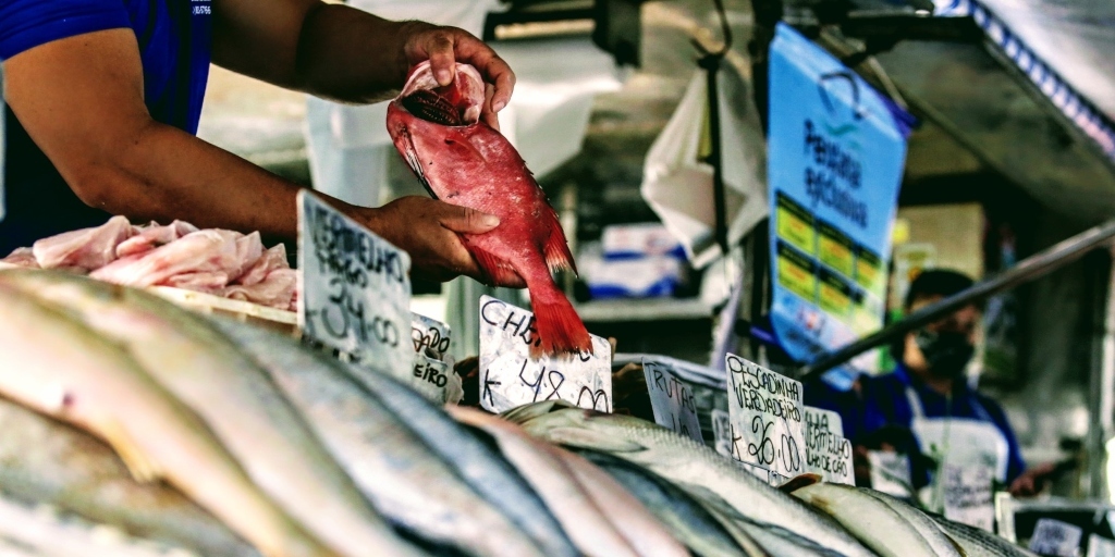 Cinco dicas para escolher o peixe para a Semana Santa, de acordo com a Fiperj