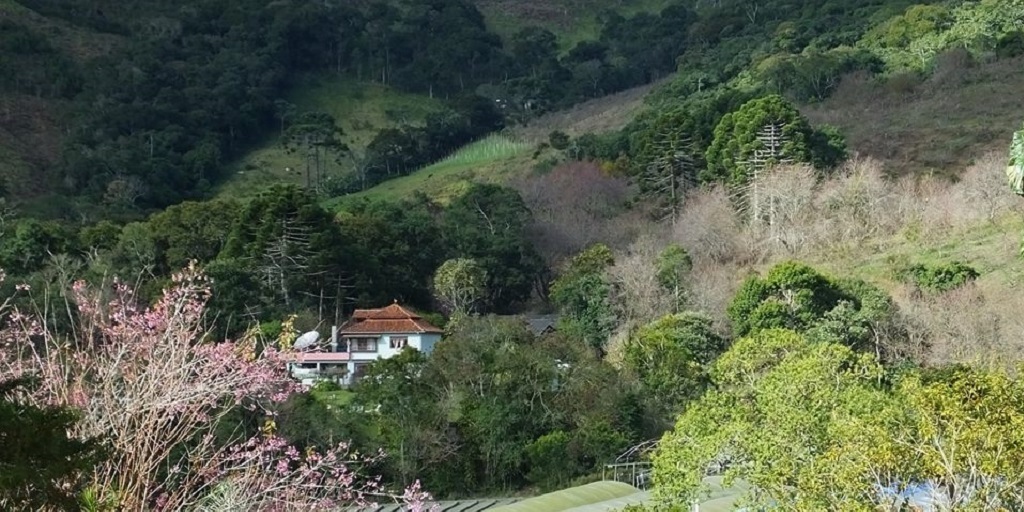 Área do sítio Florândia da Serra, onde ocorre a Festa da Cerejeira