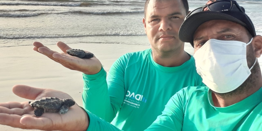 Os funcionários Edinaldo de Oliveira e Adajorge Ribeiro cuidaram das tartarugas 
