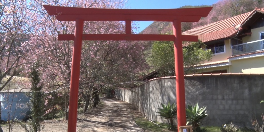 Pórtico de entrada da Festa da Cerejeira