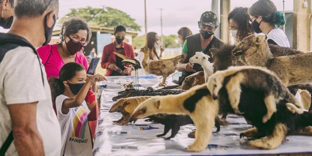 Expo Ciência mostrou diversos animais empalhados ao público