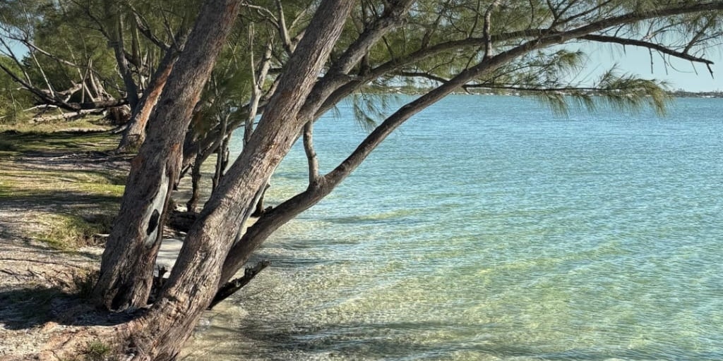 Arraial do Cabo manteve o reconhecimento da última temporada