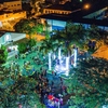 Cachoeiras de Macacu inaugura decoração natalina e divulga programação
