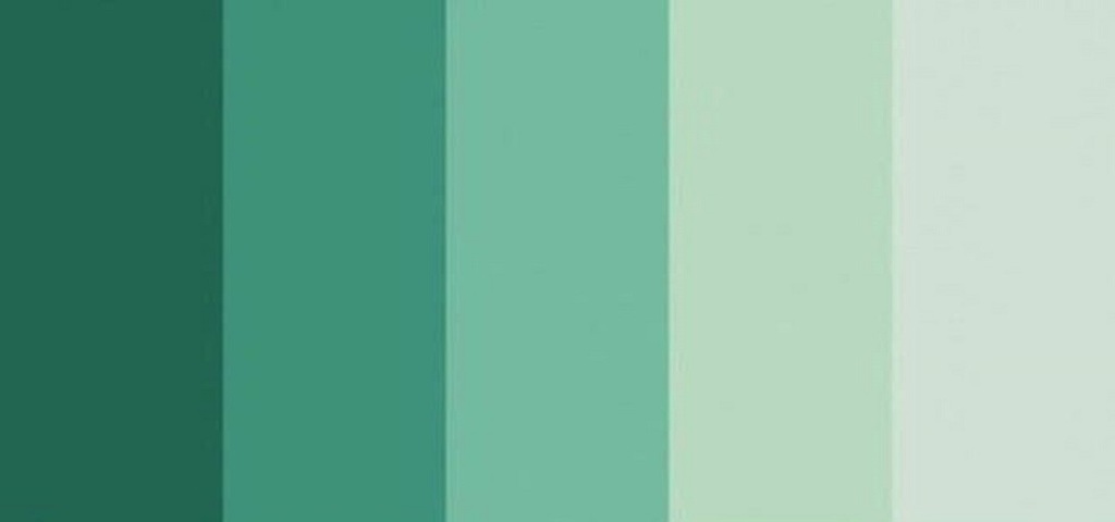 Palete de variadas cores verdes 