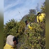 VÍDEO: Incêndio consome cerca de 2 km de mata em Arraial do Cabo
