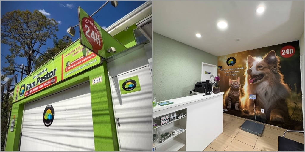 Prefeitura de Nova Friburgo anuncia início de atendimento de urgência e emergência para cães e gatos