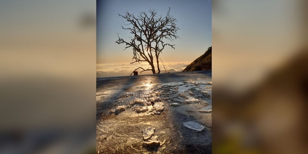 VÍDEO: Friburgo registra geada no Pico da Caledônia na manhã desta segunda