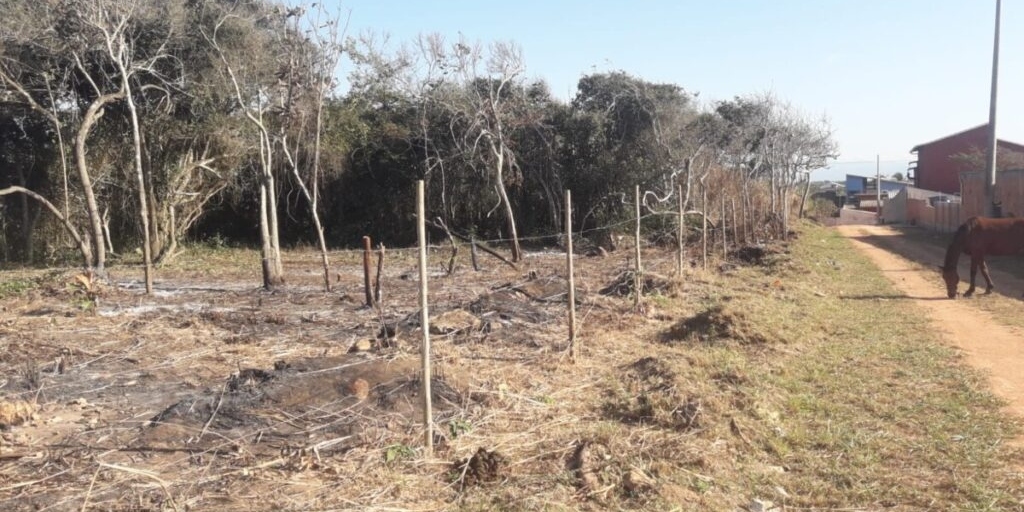 Proprietário do terreno será autuado pela prefeitura 