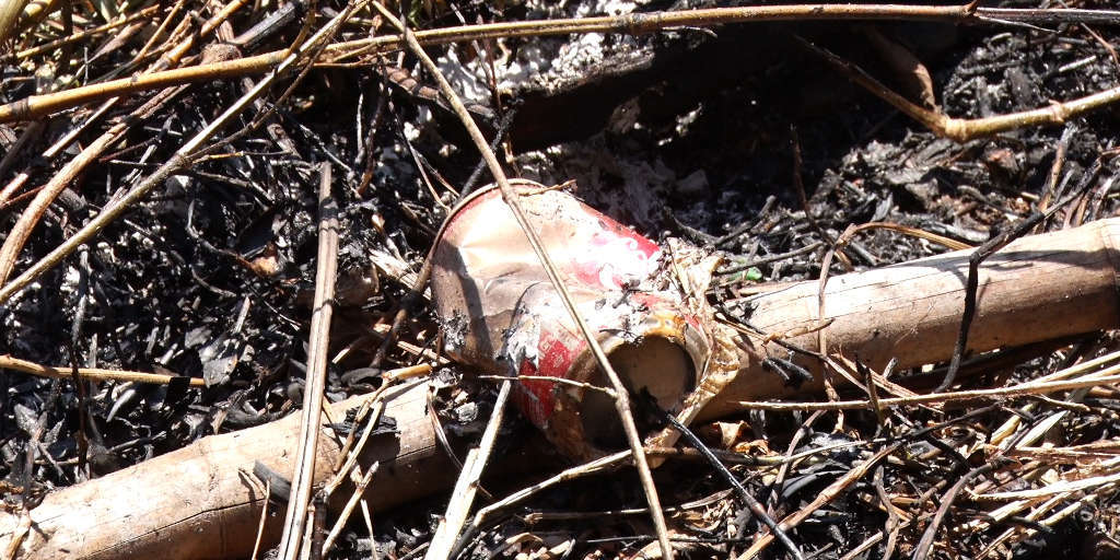 Ação humana pode ter provocado focos de incêndio em vegetação de Nova Friburgo