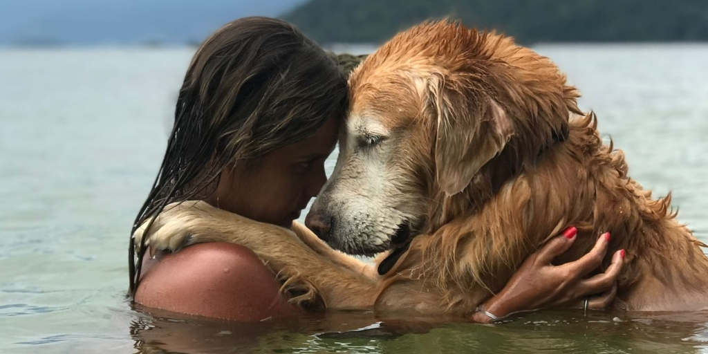 Prince foi o responsável pela mudança na vida de Danielle e dá nome à lei