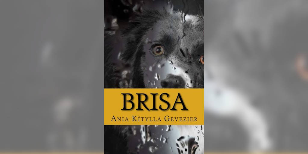 Brisa, romance escrito pela friburguense Ania Kittyla Gevezier 