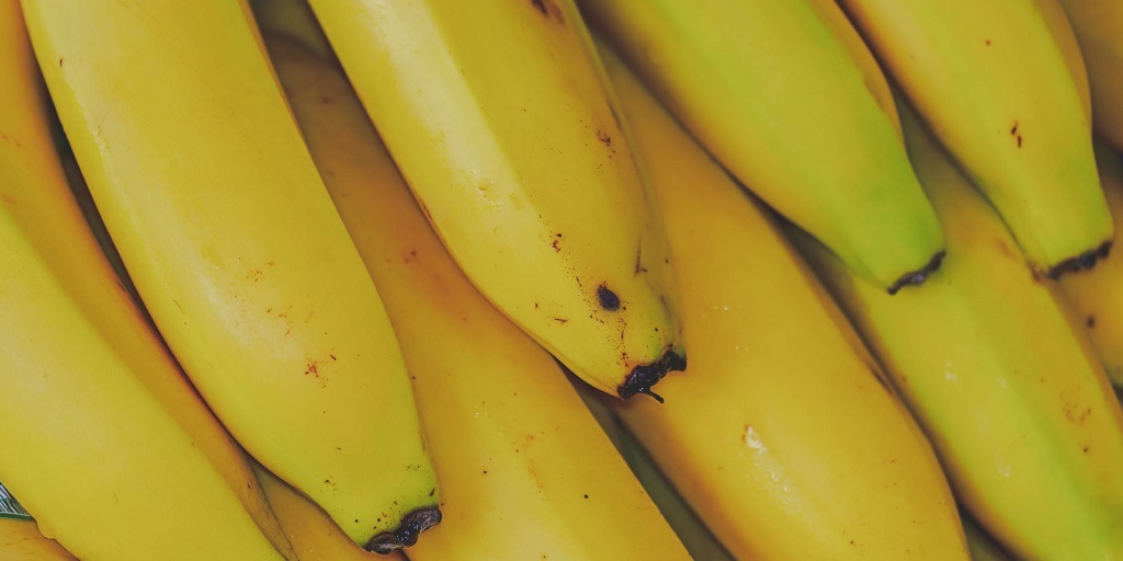 4ª Festa da Banana começa nesta sexta, em Trajano de Moraes