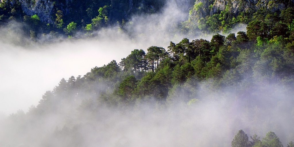 Semana do Meio Ambiente terá atividades gratuitas em universidade de Teresópolis