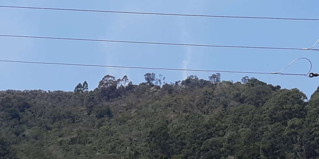 Ação humana pode ter provocado focos de incêndio em vegetação de Nova Friburgo