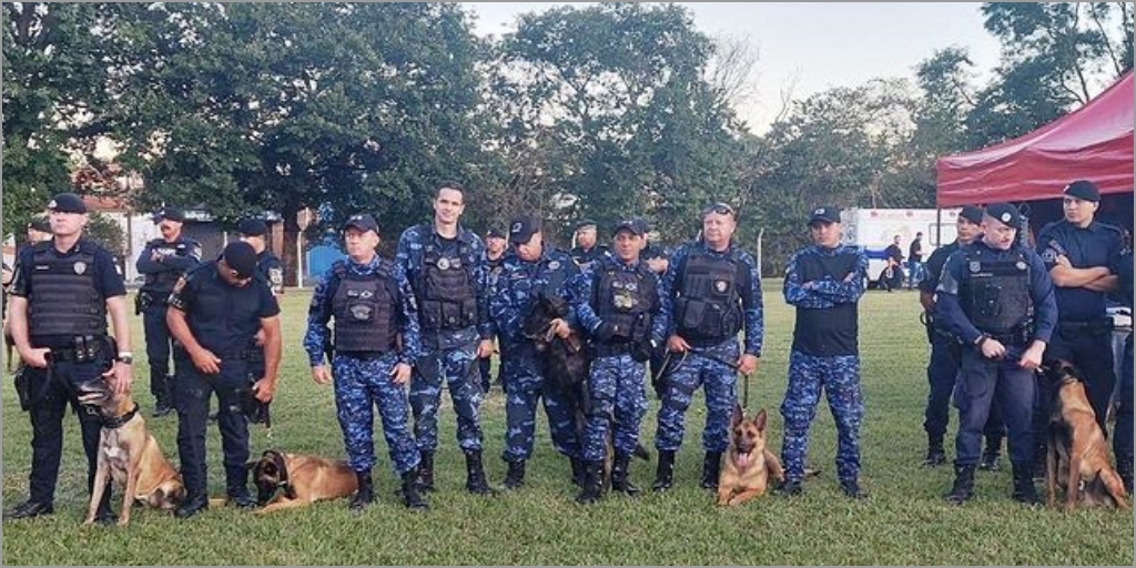 Primeira Companhia de Operações com Cães da Guarda Civil Municipal de Teresópolis (K9) 
