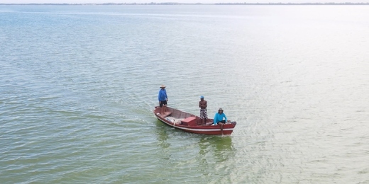 Período do defeso de peixes na Lagoa de Araruama começa na Região dos Lagos do Rio