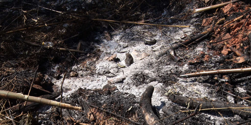 Ação humana pode ter provocado focos de incêndio em vegetação de Nova Friburgo
