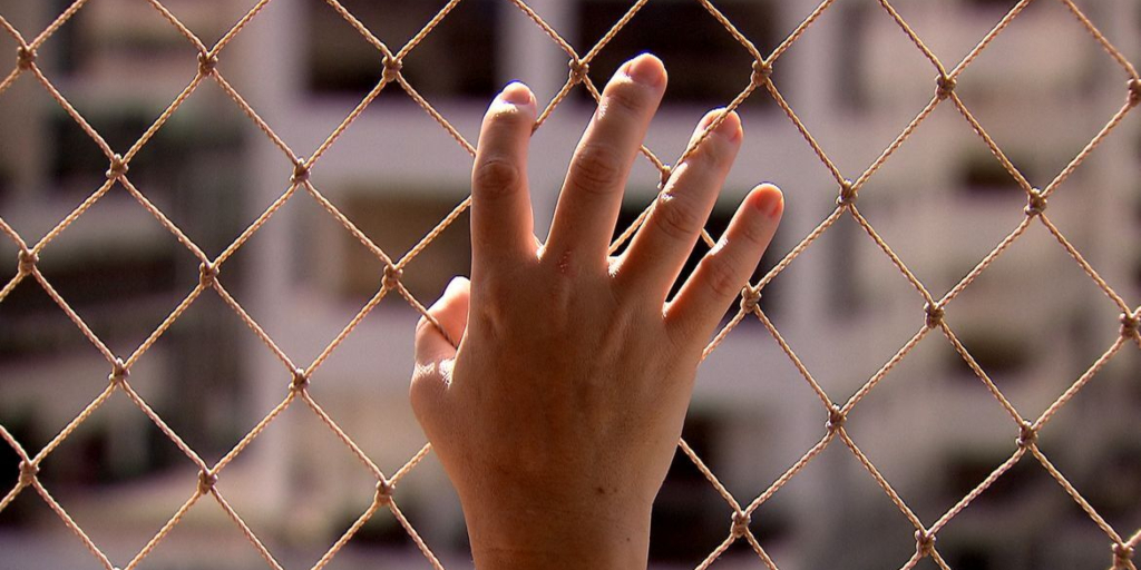 Lei Maria da Penha ganha aplicativo que facilita pedidos de medida protetiva