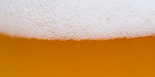 Nova Friburgo terá workshop sobre fermentação e biotecnologia cervejeira