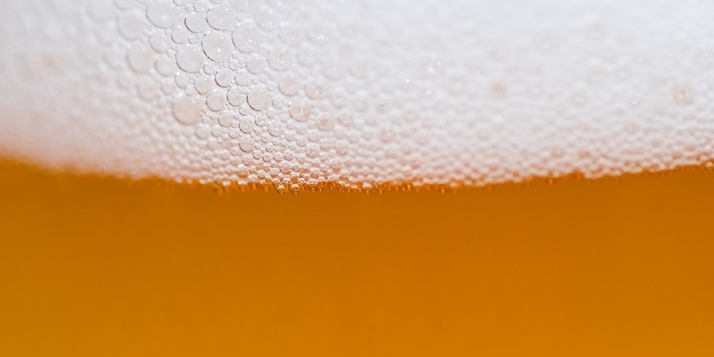 Nova Friburgo terá workshop sobre fermentação e biotecnologia cervejeira 