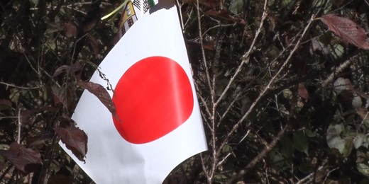 Colônia japonesa de Nova Friburgo celebra dia da imigração em meio a eventos adiados