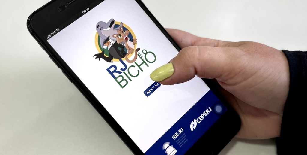 App reúne dados de avistamento e atropelamento de animais nas estradas do RJ
