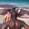 Baleias são confundidas com tubarões ao encalharem em praia de Arraial do Cabo; veja vídeo