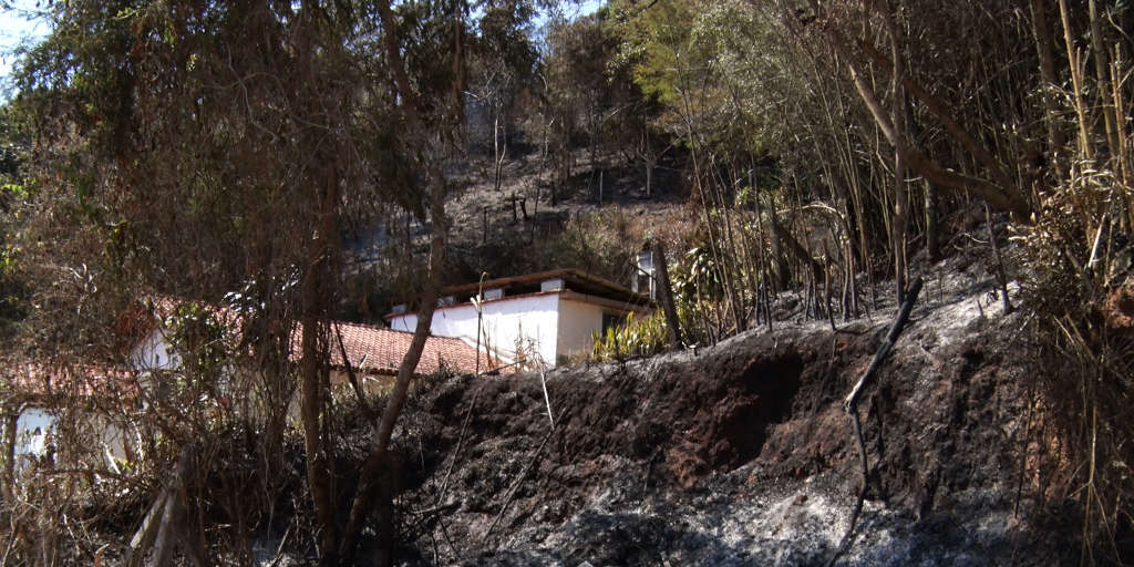 Equipe do Portal Multiplix registrou áreas de vegetação queimada em vários bairros de Nova Friburgo