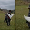 Planador científico cai em mata fechada de Nova Friburgo e mobiliza buscas de equipe voluntária