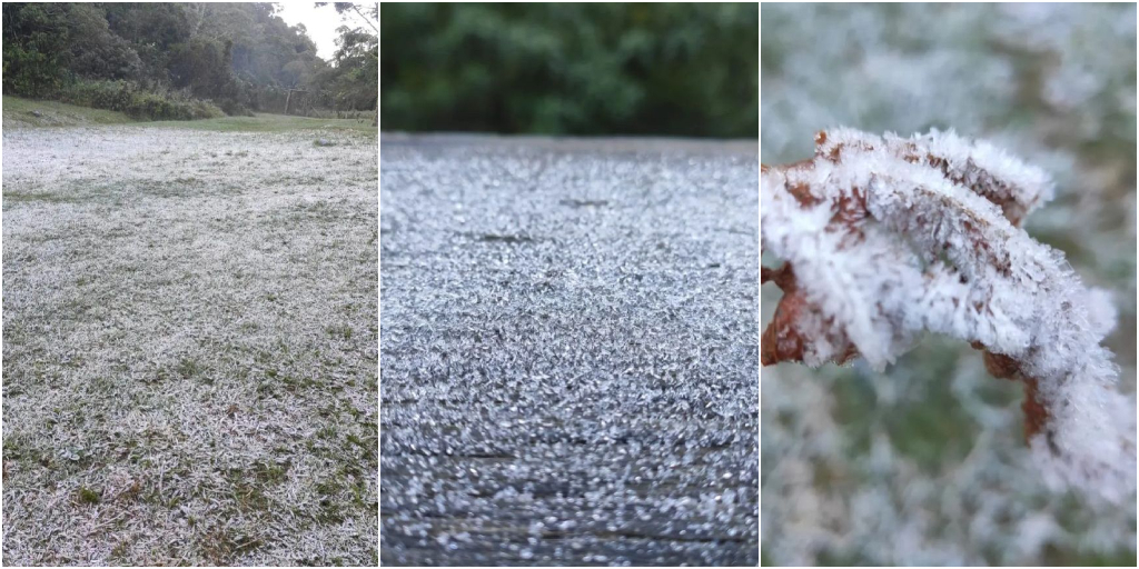 Vegetação ficou parcialmente coberta por gelo na região do Parque Estadual dos Três Picos (PETP)