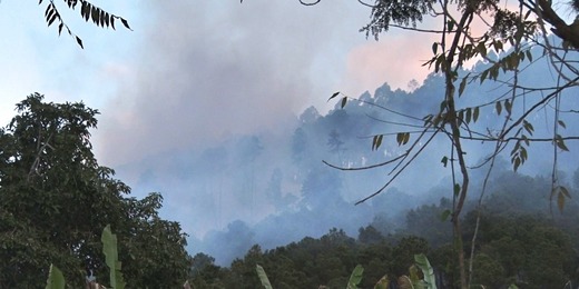 Incêndio na Via Expressa, em Friburgo, é controlado pelo Corpo de Bombeiros