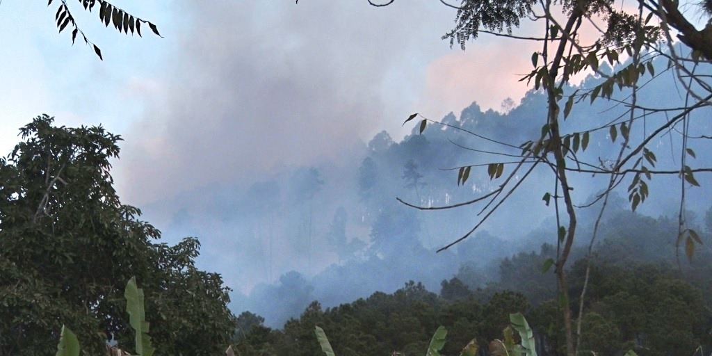 Incêndio na Via Expressa, em Friburgo, é controlado pelo Corpo de Bombeiros
