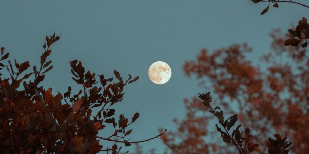Que tal tentar registrar a Lua? Planetário de Nova Friburgo promove atividade neste sábado