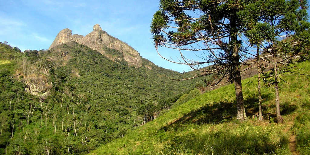 Programa “Parceiro Olho no Verde” recebe inscrições até a próxima sexta-feira