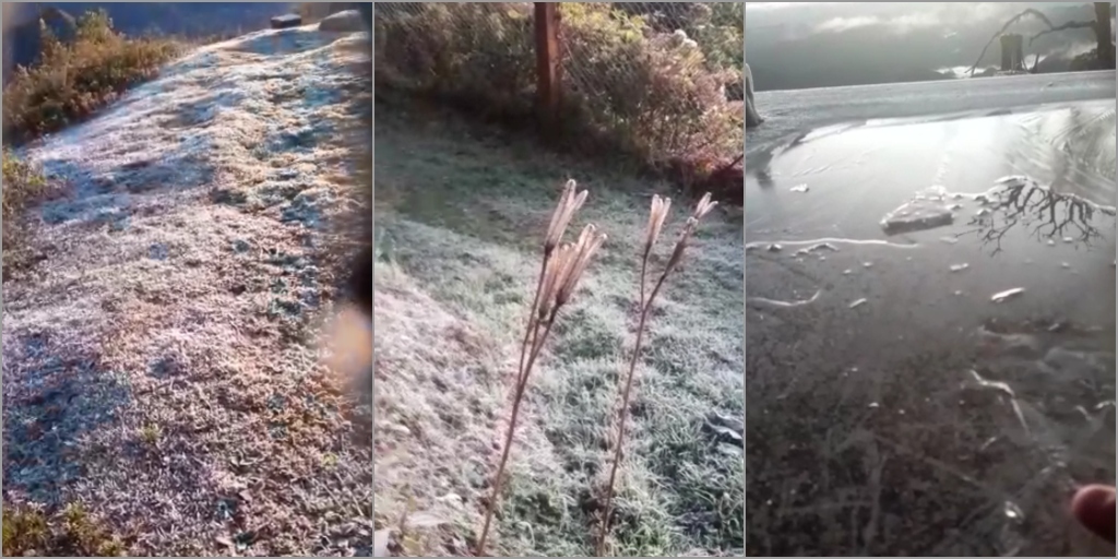VÍDEO: Nova Friburgo registra geada e a menor temperatura do ano