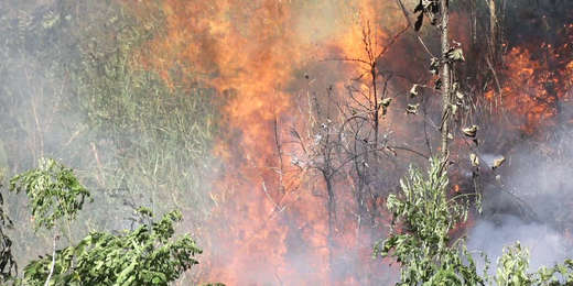 Bombeiros realizam combate a incêndios em várias cidades da Região Serrana
