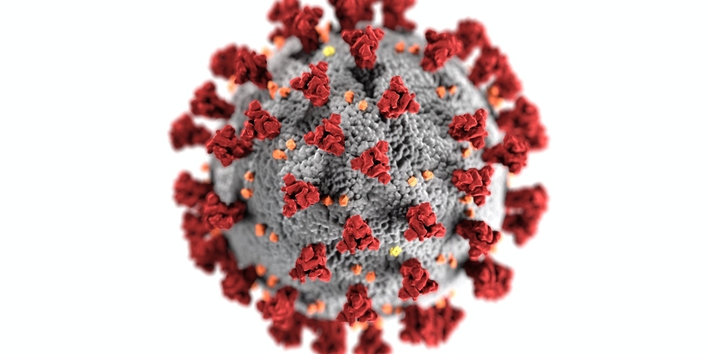 Fiocruz: variante P1 do coronavírus pode escapar de anticorpos e aumenta risco de reinfecção 