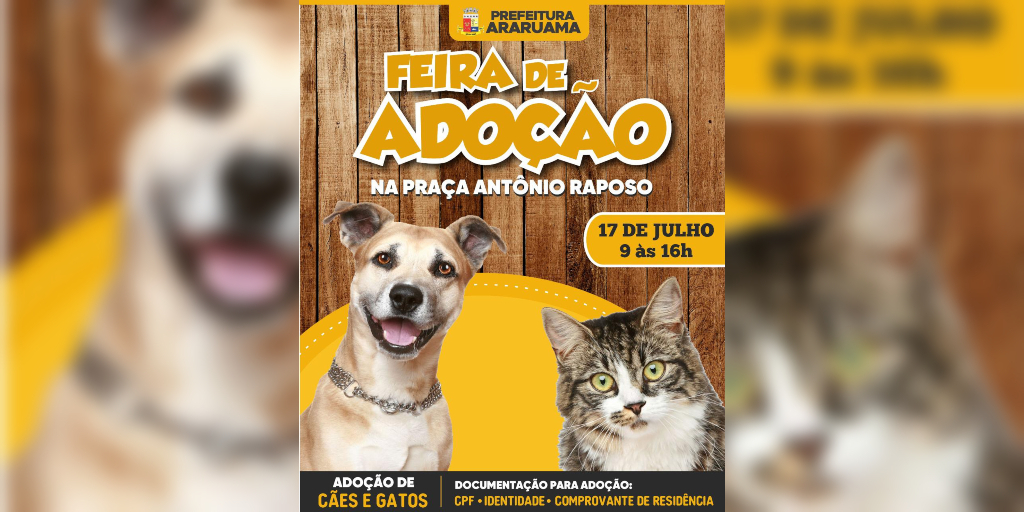 Feira de adoção de animais acontece neste sábado em Araruama