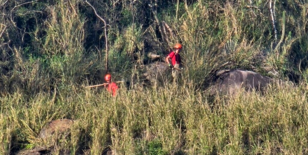 Equipes do Corpo de Bombeiros foram ao local para realizar a ação de combate às chamas