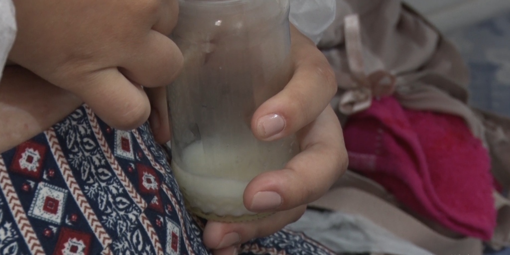 Profissionais coletam, em domicílio, o leite doado e realizam a distribuição para os bebês que precisam