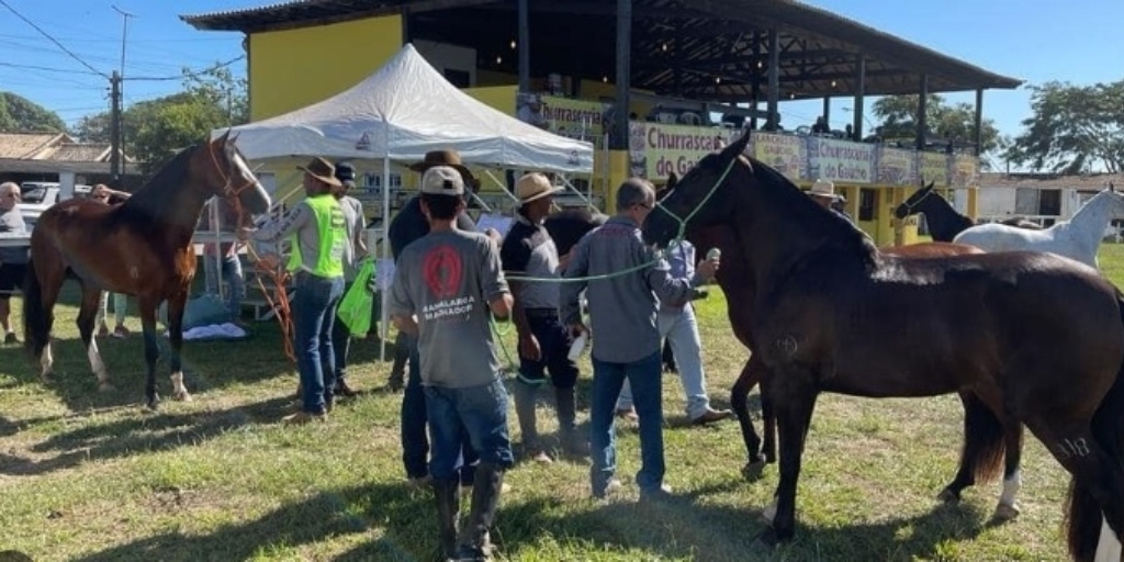 Expo Manga Larga Marchador começa nesta quinta, 10, em Araruama