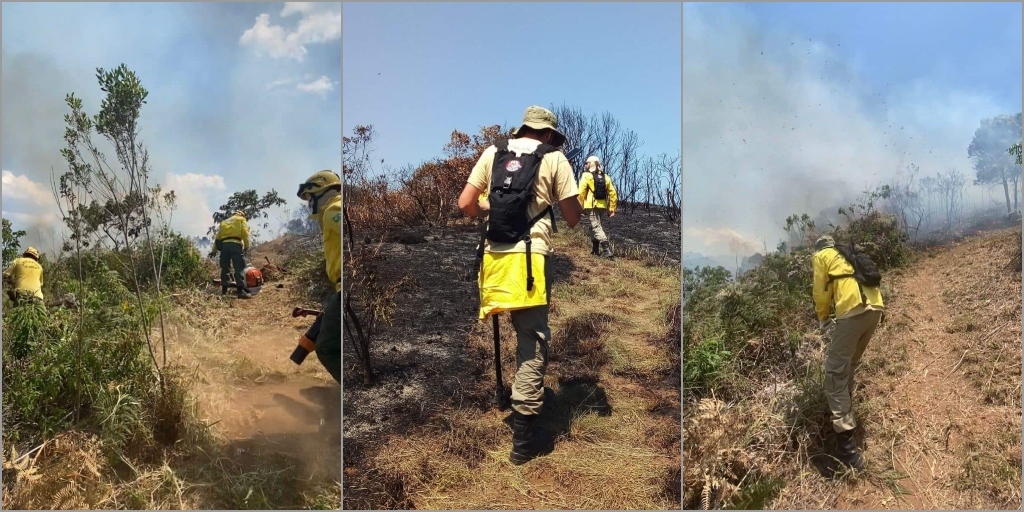 Queda de balão provoca incêndio no Parque Municipal Montanhas de Teresópolis