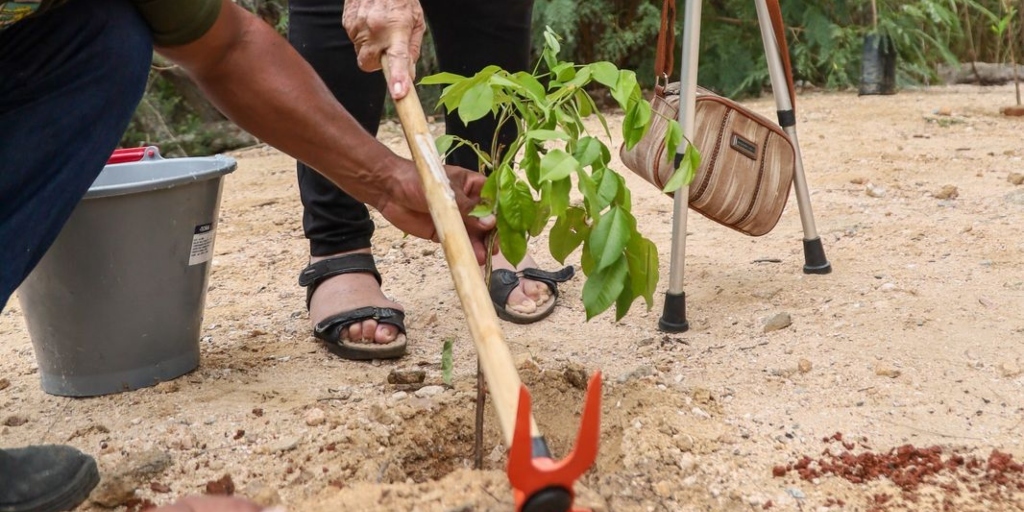 Reabertura contou com plantio de mudas nativas e ações de educação ambiental