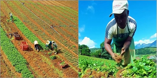 Nova Friburgo lidera regularização de cadastros da agricultura familiar no Rio de Janeiro